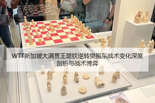 WTT新加坡大满贯王楚钦逆转樊振东战术变化深度剖析与战术博弈