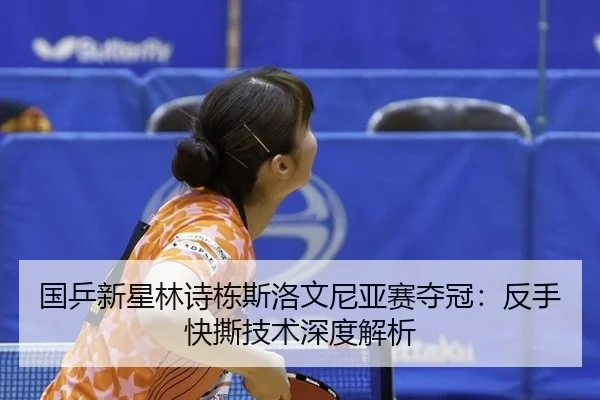 guo-ping-xin-xing-lin-shi-dong-si-luo-wen-ni-ya-sai-duo-guan-fan-shou-kuai-si-ji-shu-shen-du-jie-xi-3-721.jpg